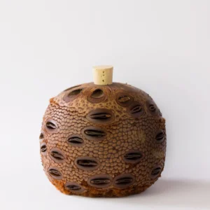 medium aroma pod diffuser